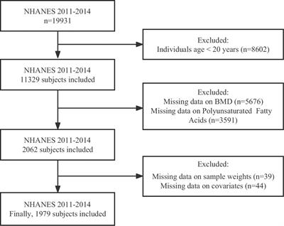 Association between serum polyunsaturated fatty acids and bone mineral density in US adults: NHANES 2011-2014